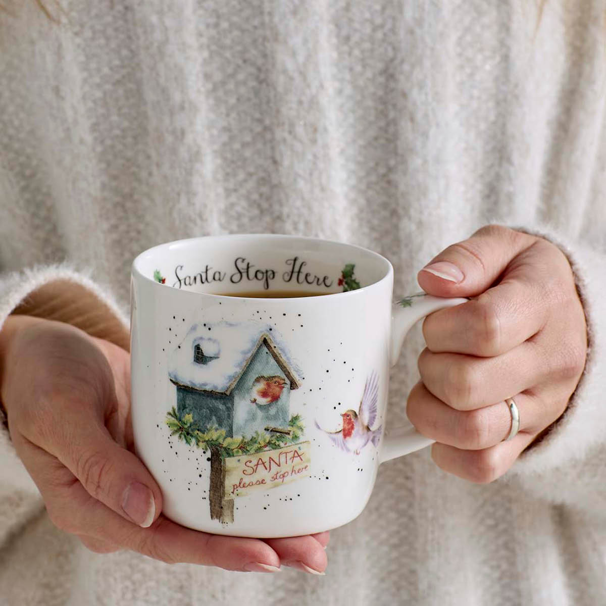 Royal Worcester Wrendale Designs muki 31 cl Santa Stop Here
