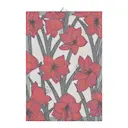 Amaryllis Kökshandduk 35x50 Röd