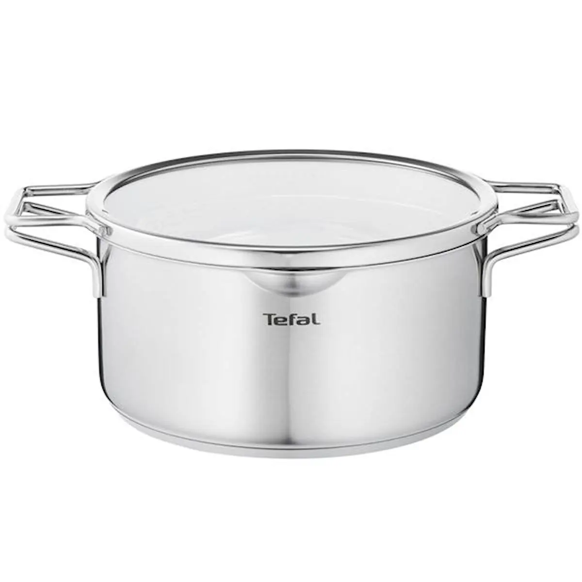 Tefal Nordica gryta med lock 4,8 L 24 cm rostfritt stål