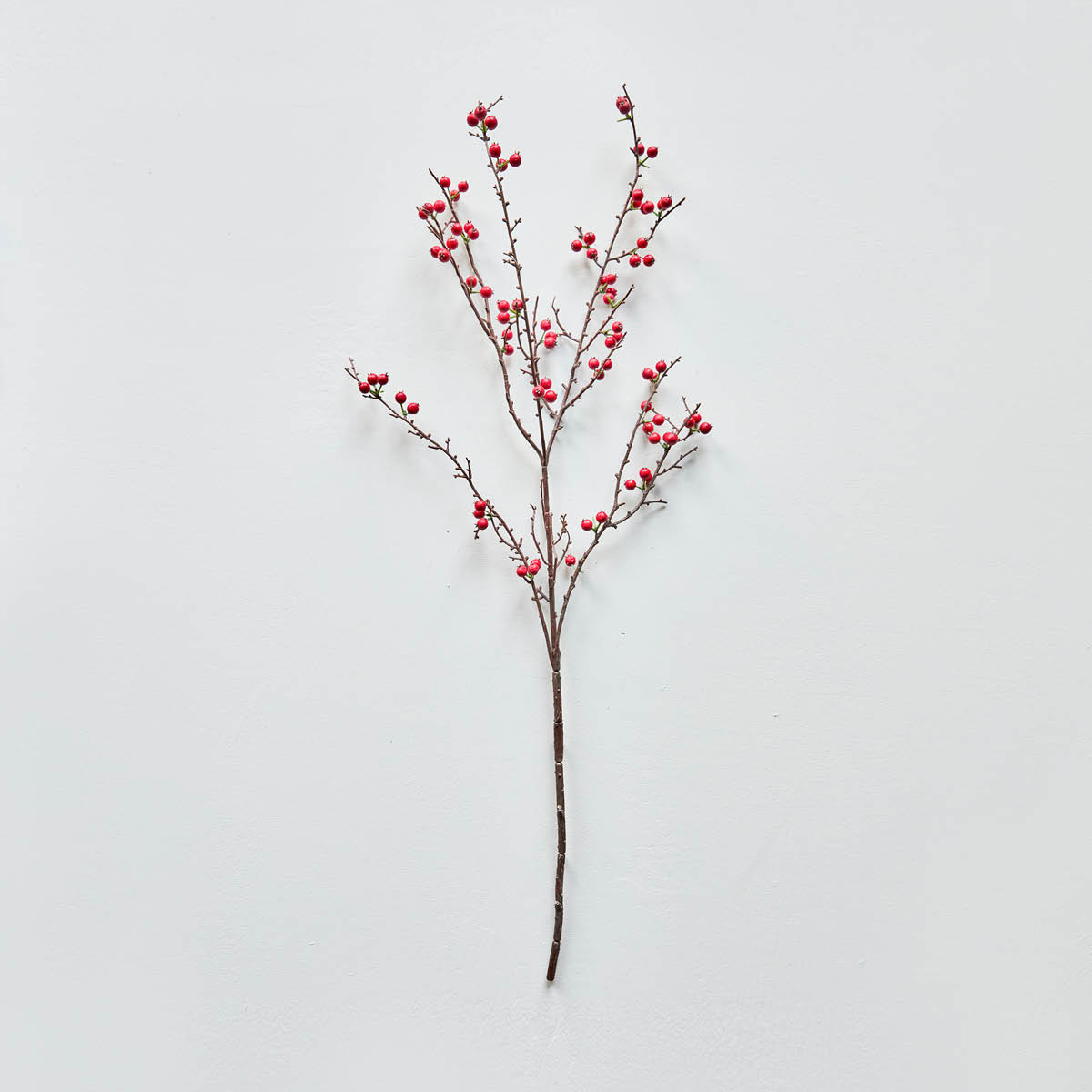 House Doctor Decor Tekokasvi Marja oksa 97 cm