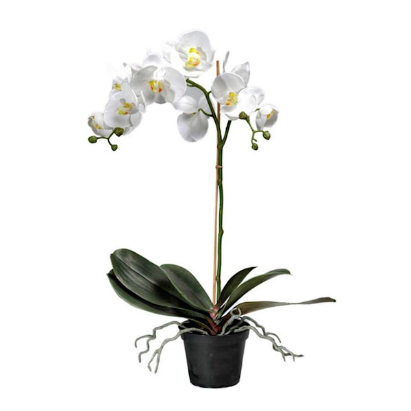 Phalaenopsis konstgjord krukväxt 60 cm vit
