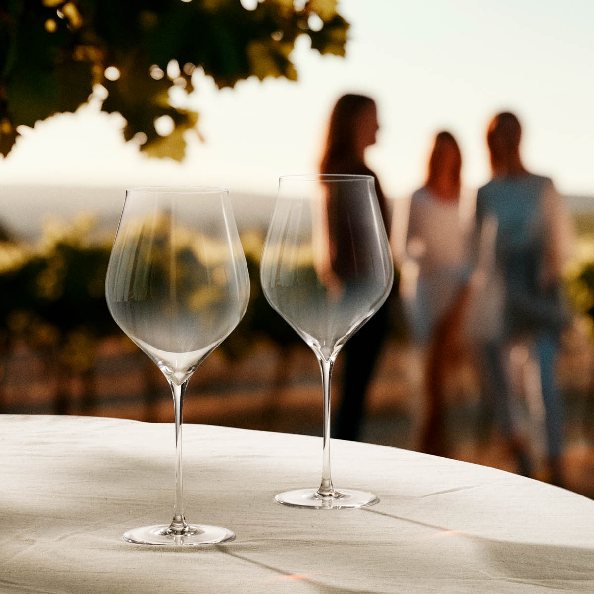 Holmegaard Notes Punaviinilasi 81 cl 2 kpl