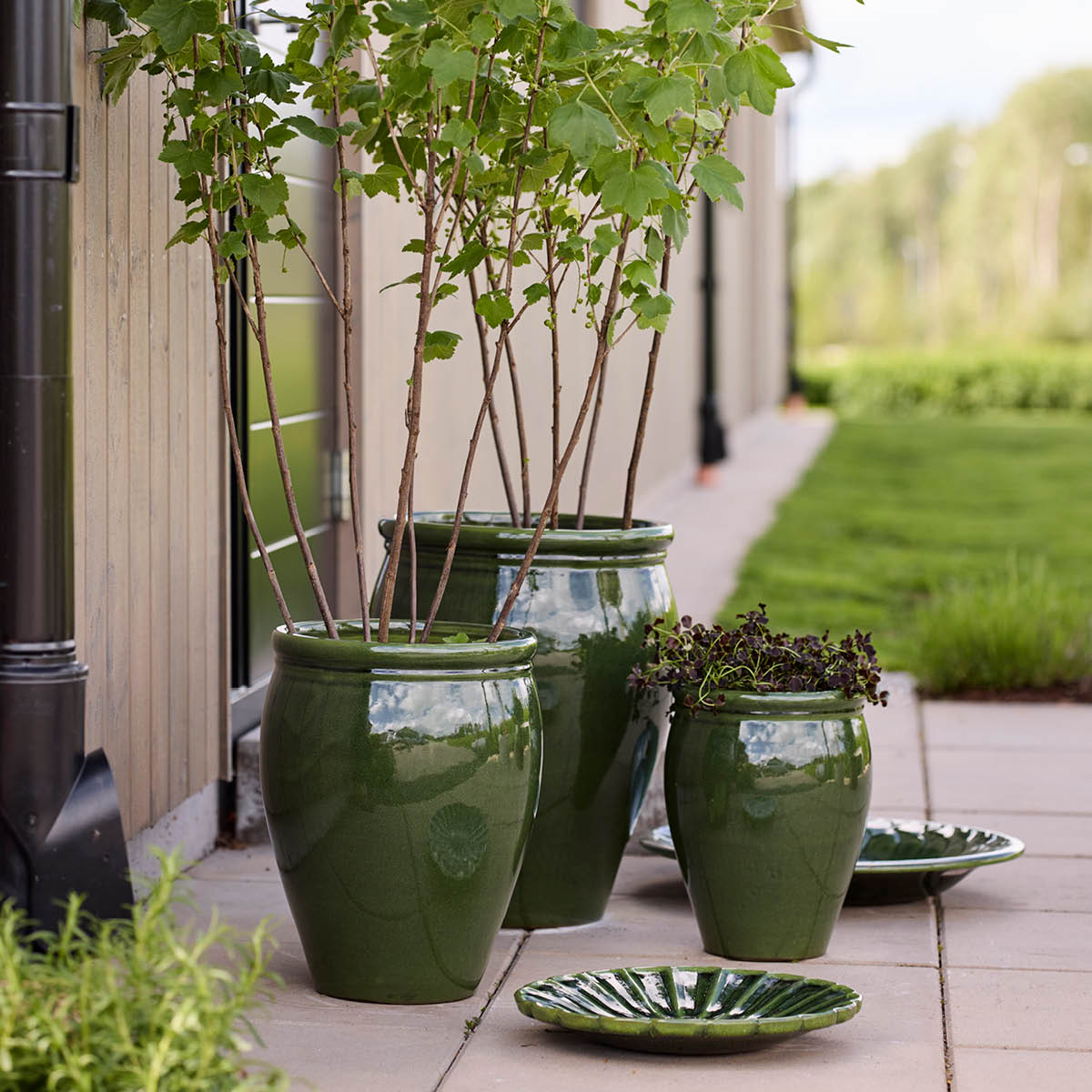 GUS Design Blomma Vati 35 cm Irish Green