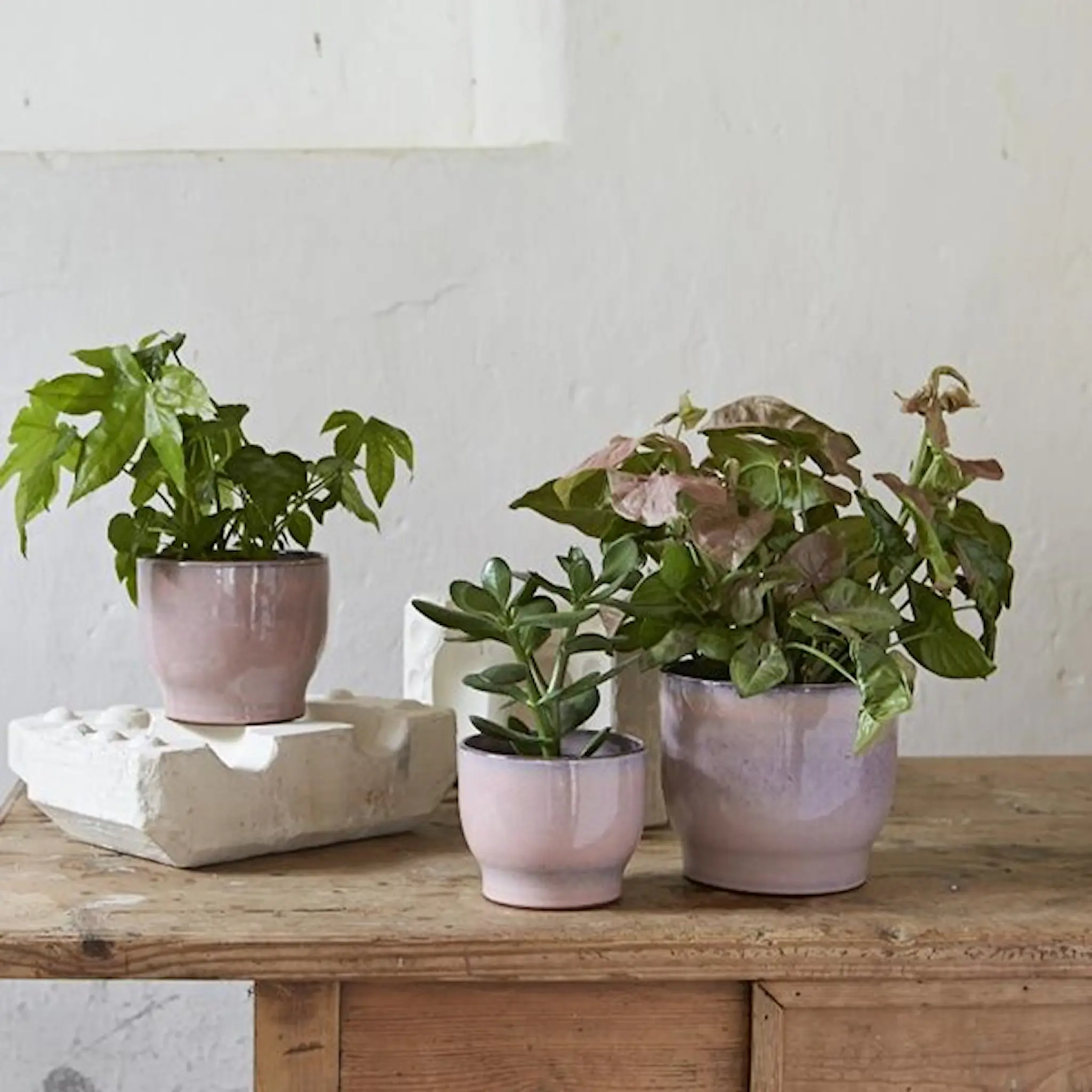 Knabstrup Keramik Knabstrup Odlingskruka 12,5 cm Rosa