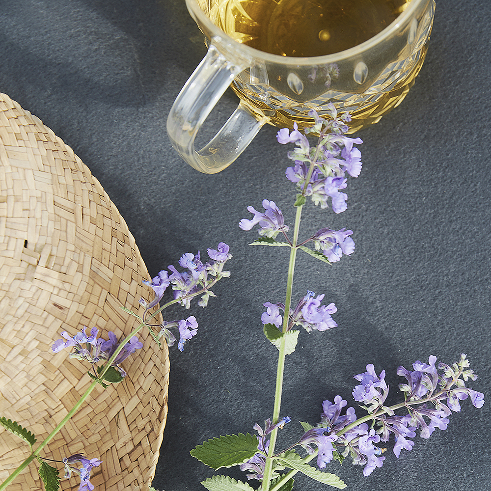 Sagaform Picknick Kanna 1,2 L