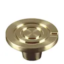 Ikonknopp 45 mm ljust guld