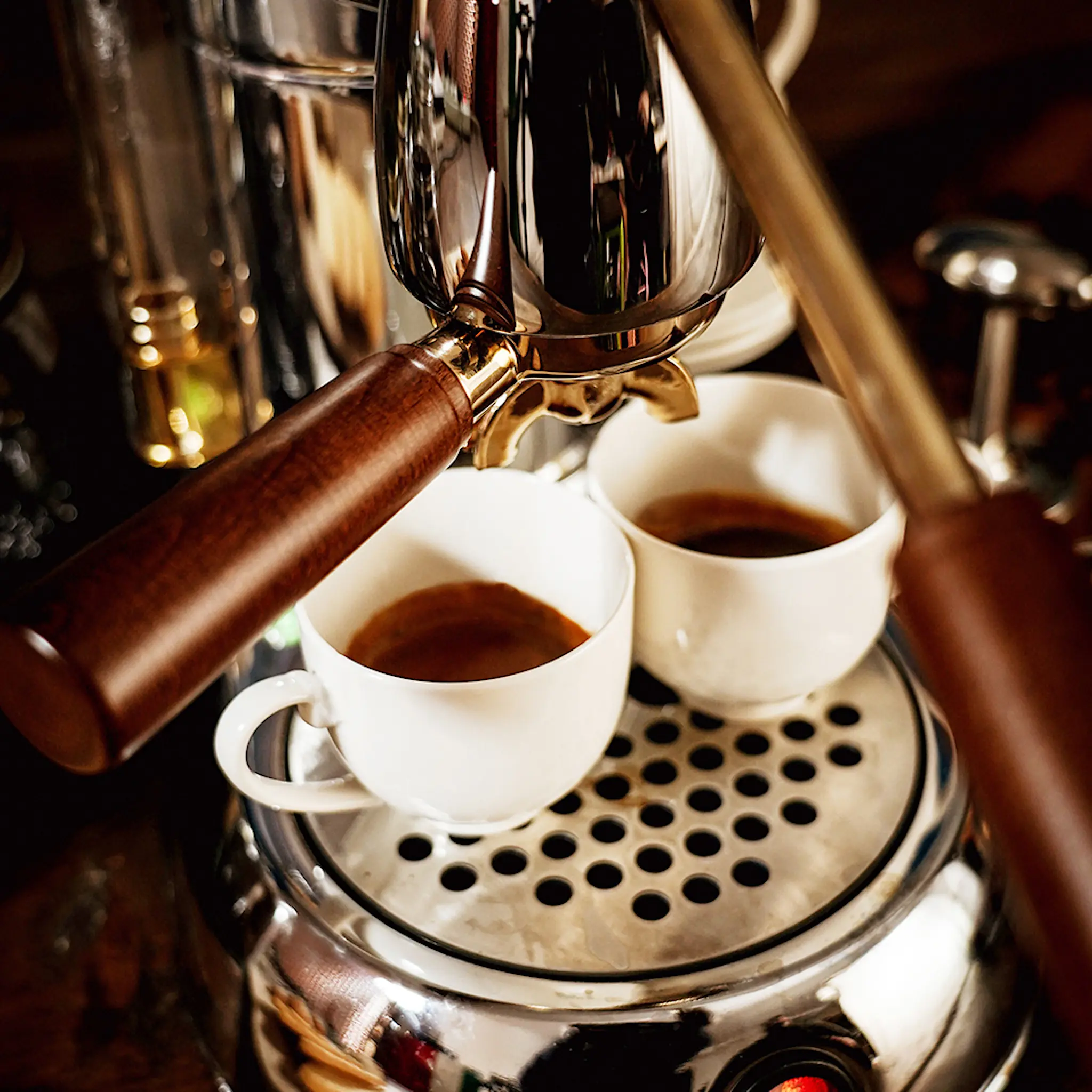 La Pavoni Esperto Manuell Kaffemaskin med Hävarm Rostfritt Stål