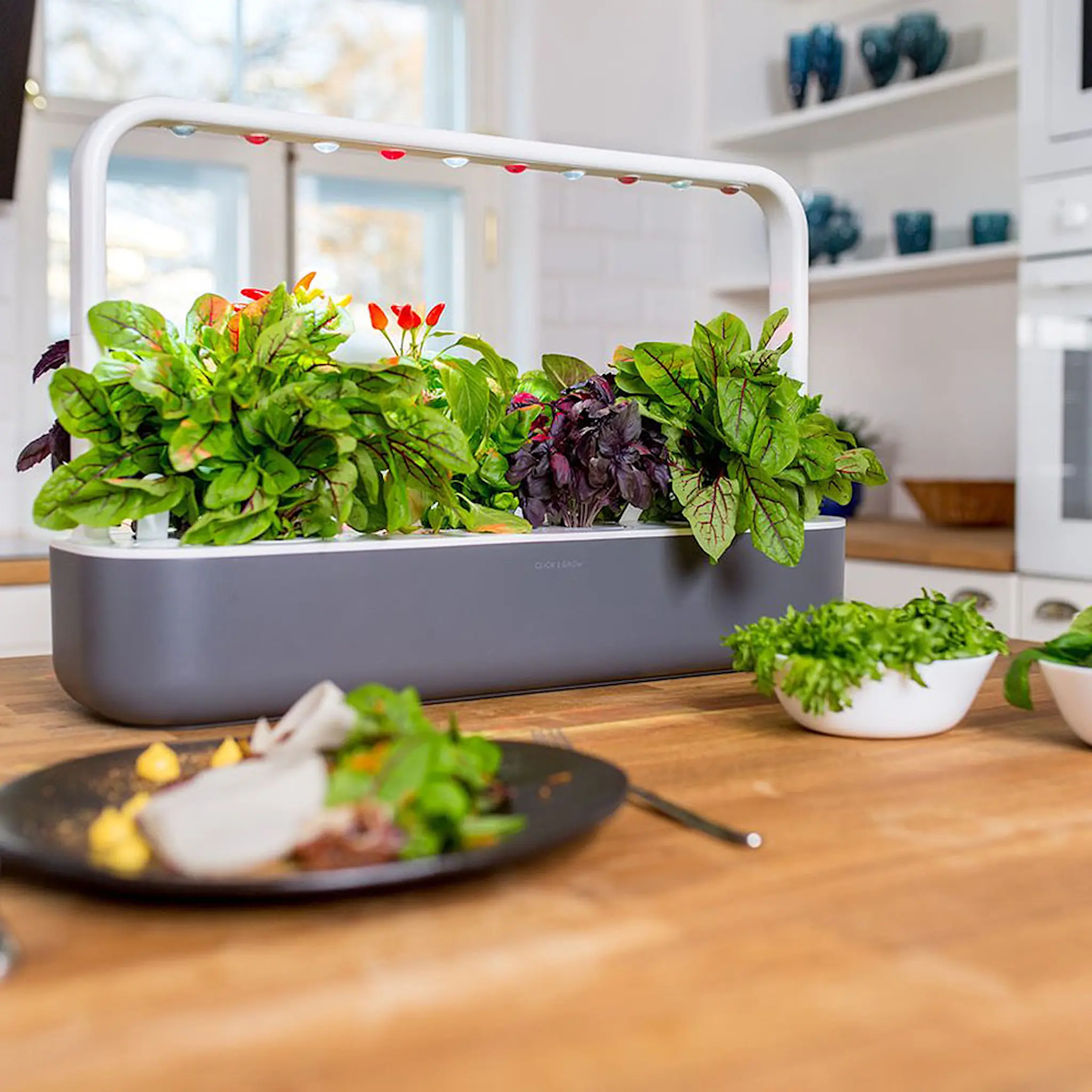 Click & Grow Smart Garden 9 Aloituspakkaus Tummanharmaa