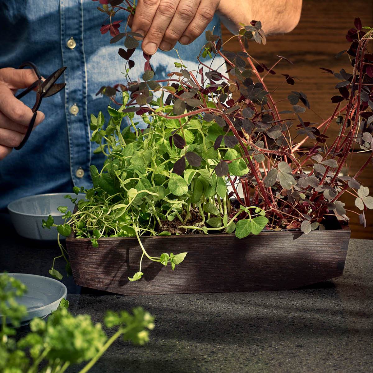 Rosendahl RÅ saltkar 6,5 cm