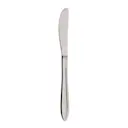Gastro kniv 21 cm mirror polish