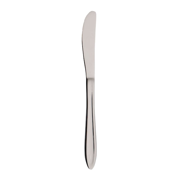 Gastro kniv 21 cm mirror polish