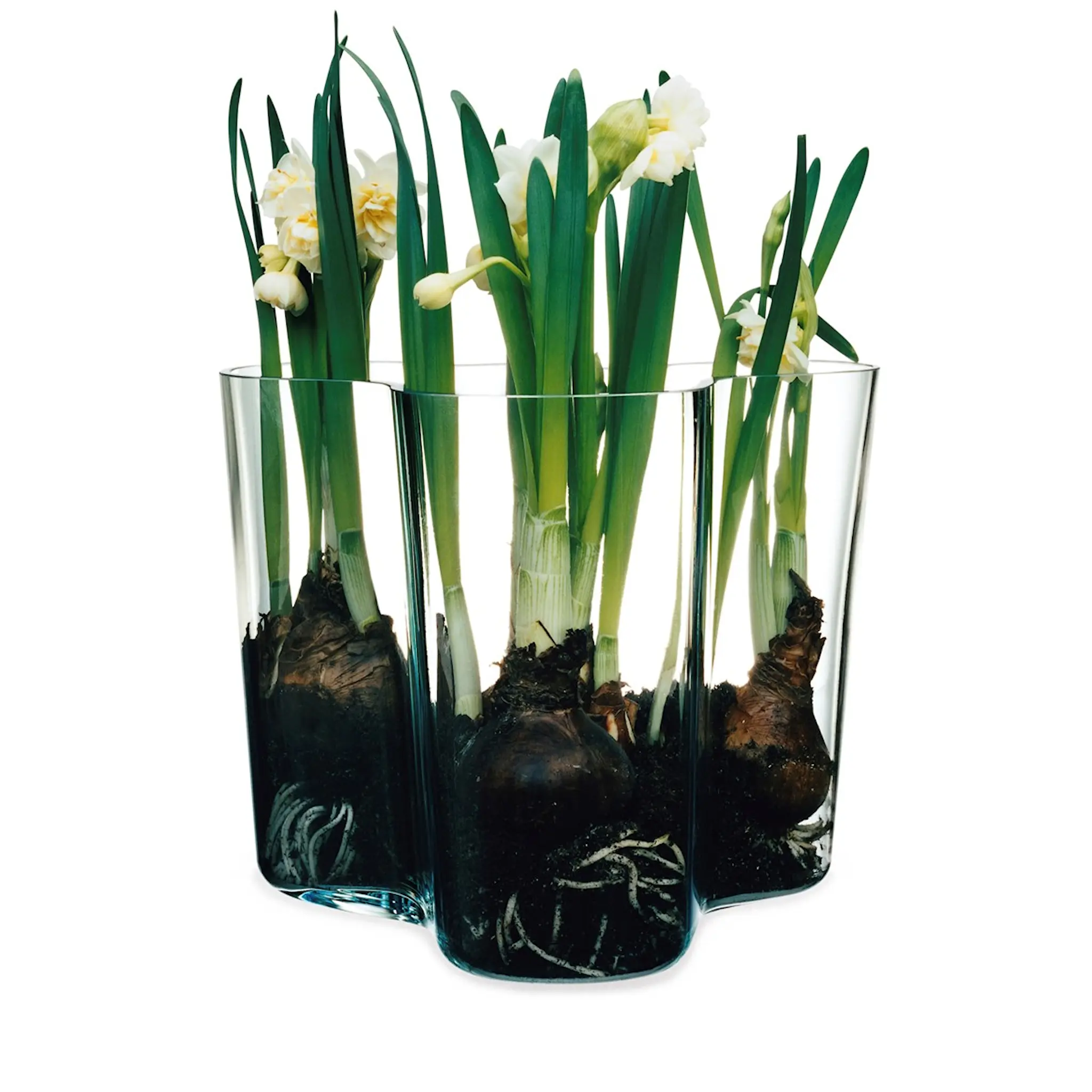 iittala Alvar Aalto Collection Vasset 16+9,5 cm Klar