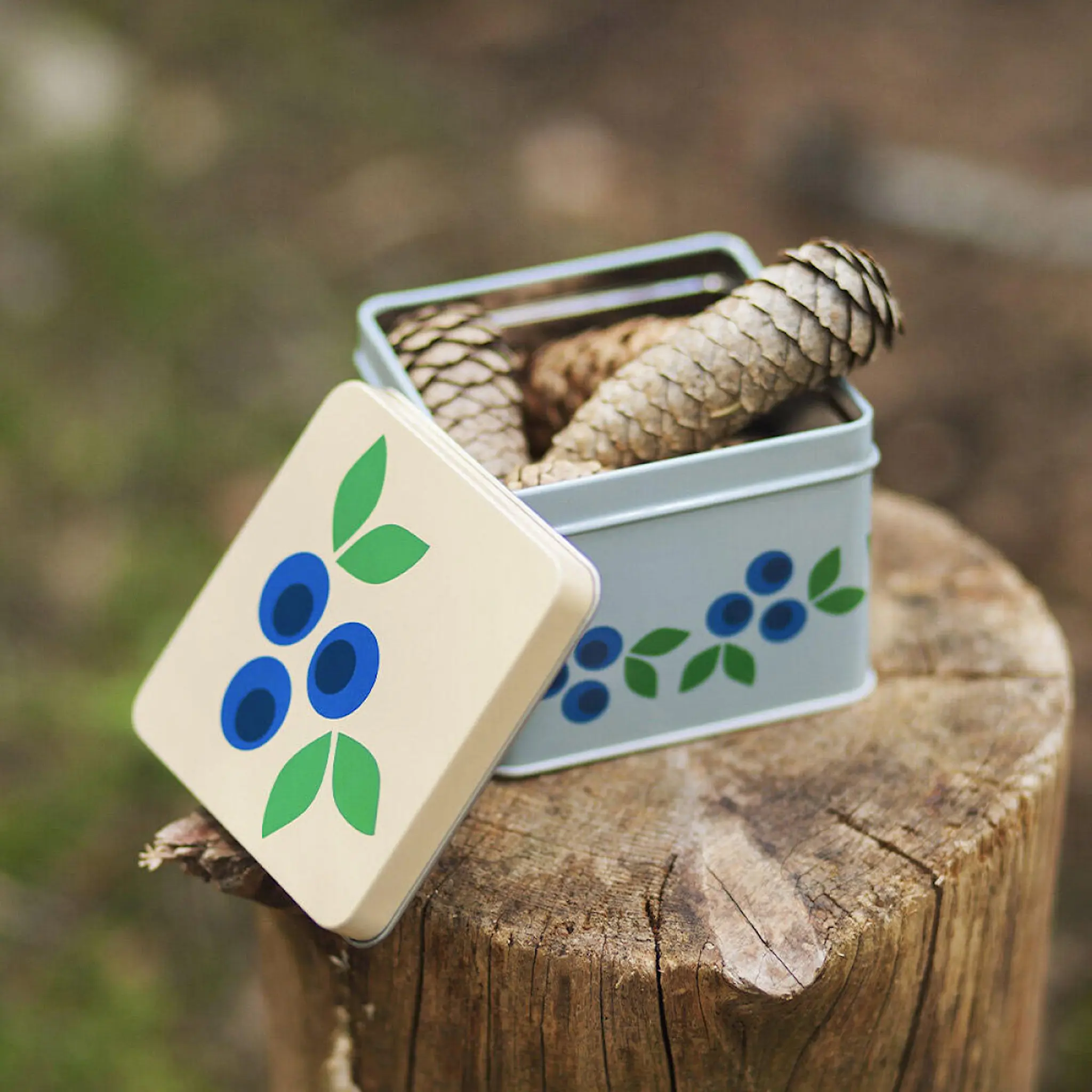 Blafre Blåbär matlåda / förvaringslåda 10x10 cm blå