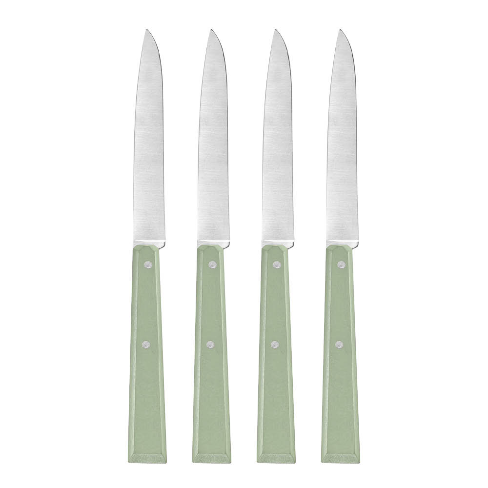 Opinel Bon Appetit kniv 22 cm 4 stk salvie