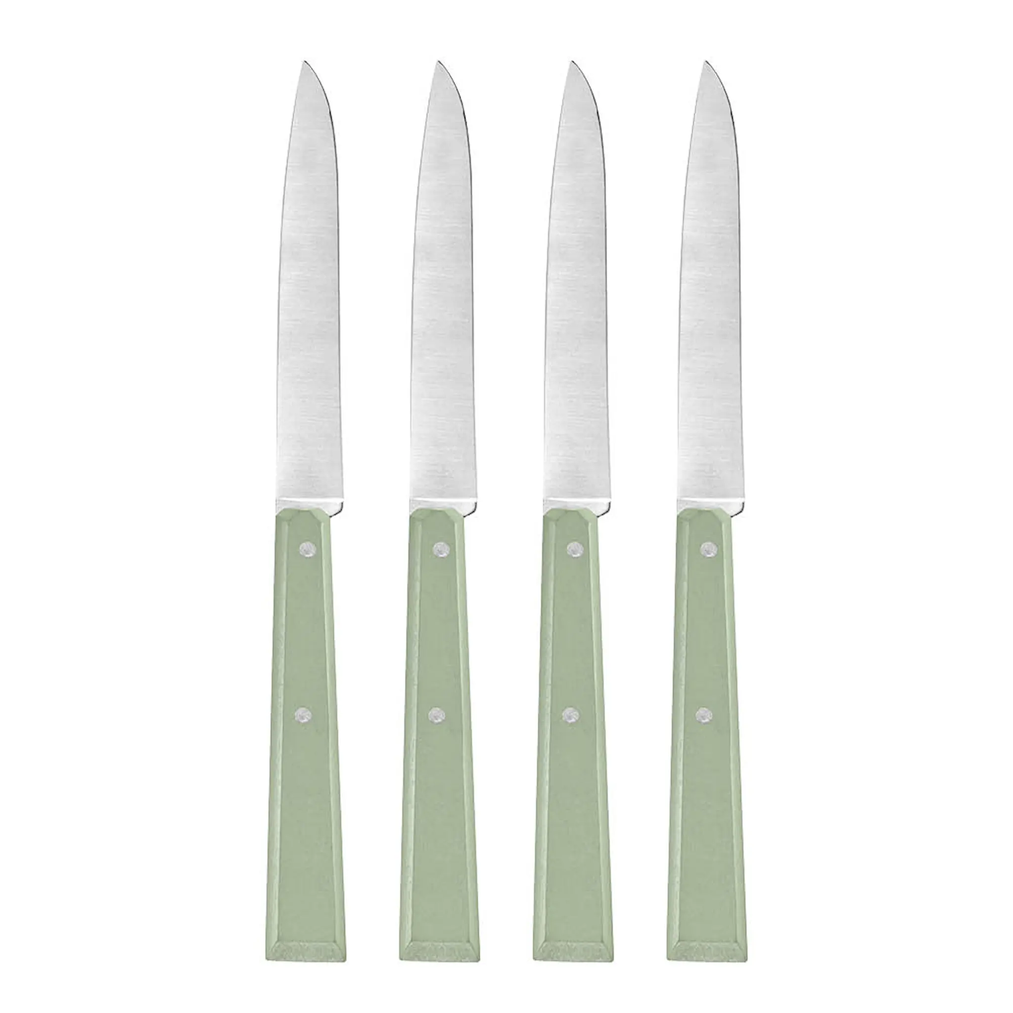 Opinel Bon Appetit kniv 22 cm 4 stk salvie