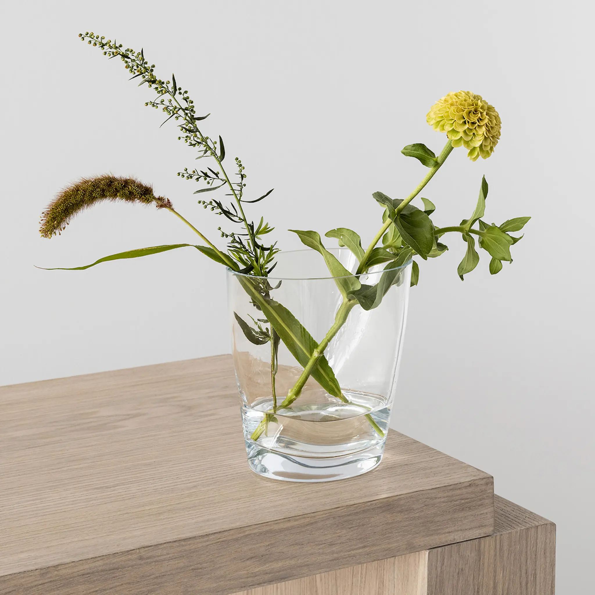 Orrefors Squeeze tulpanvas 18 cm klar