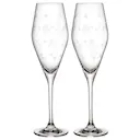Toy's Delight champagneglas 26 cl 2-pack