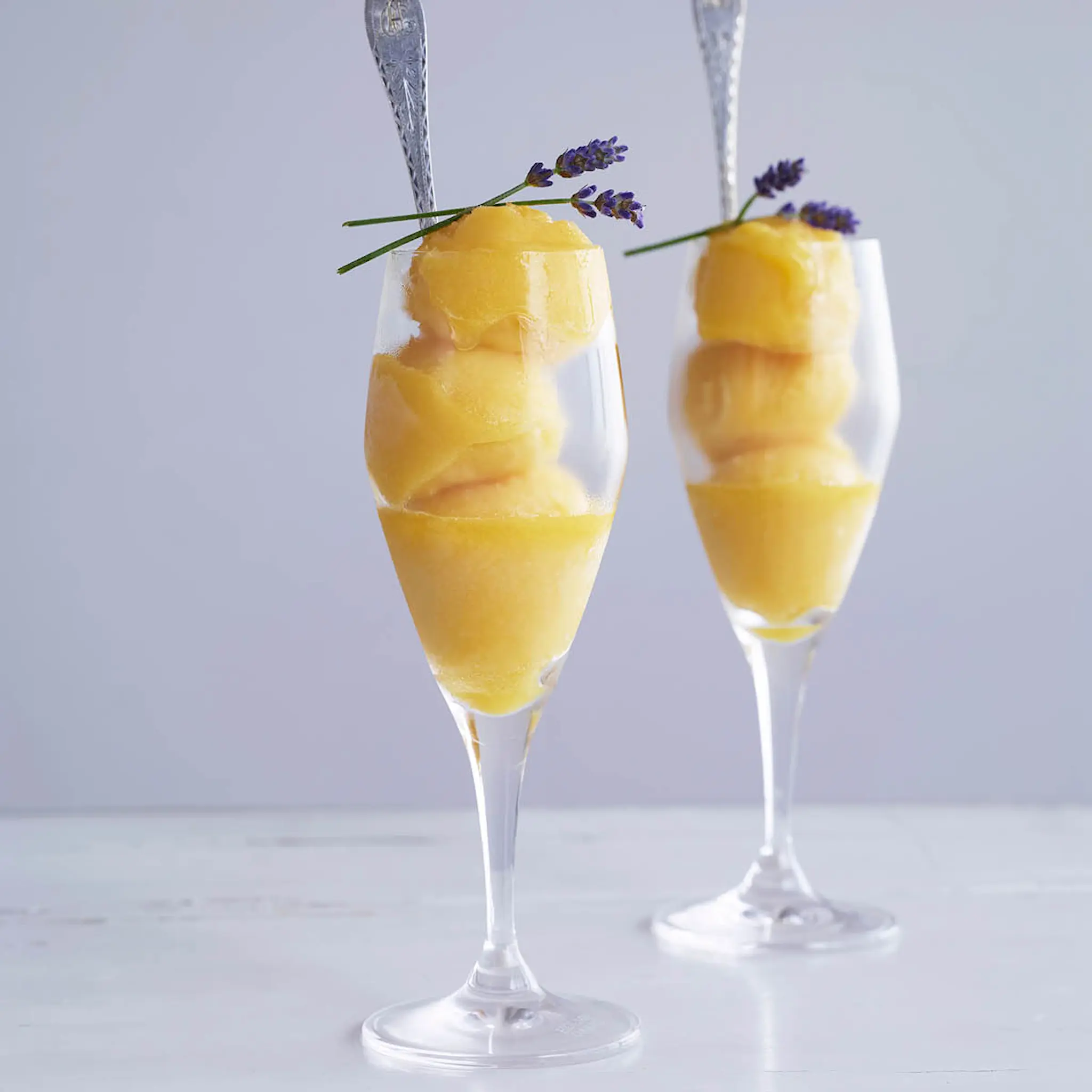 Holmegaard Perfection Samppanjalasi 23 cl 6 kpl