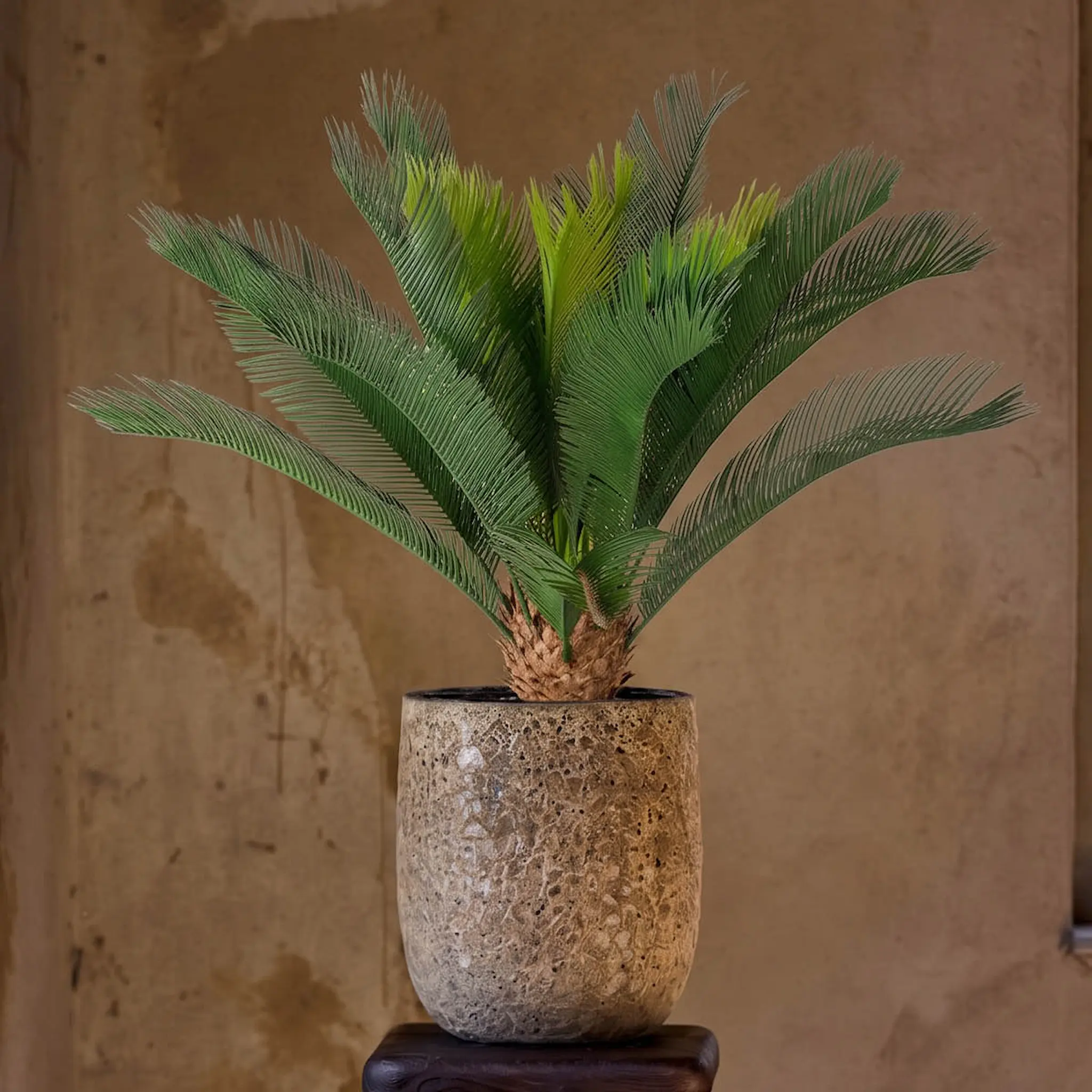 Mr Plant Cycas kunstig plante 70 cm