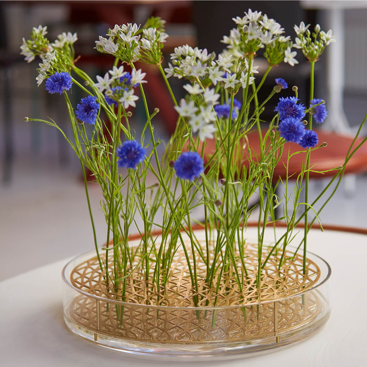 Klong Äng vase mega messing