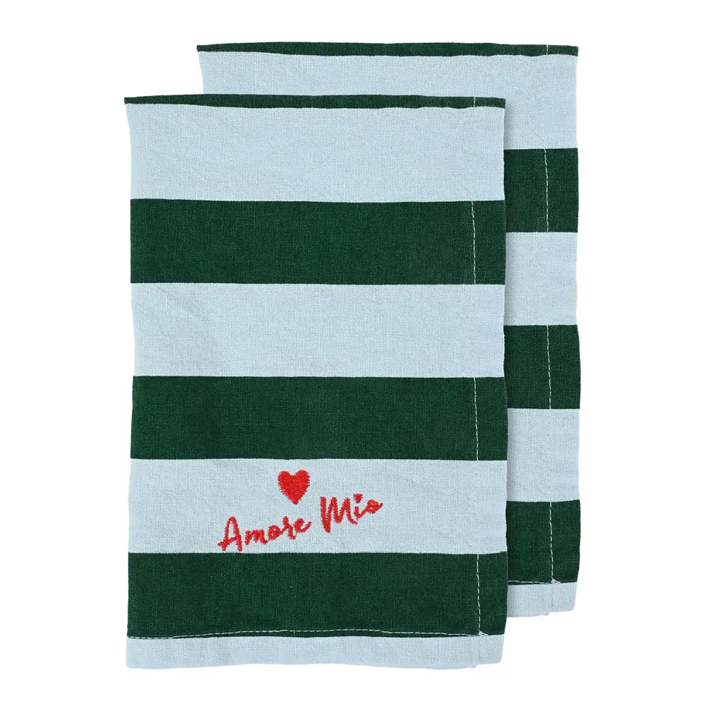 Love Lautasliina 45x45 cm 2 kpl Vihreä/Vaaleansininen