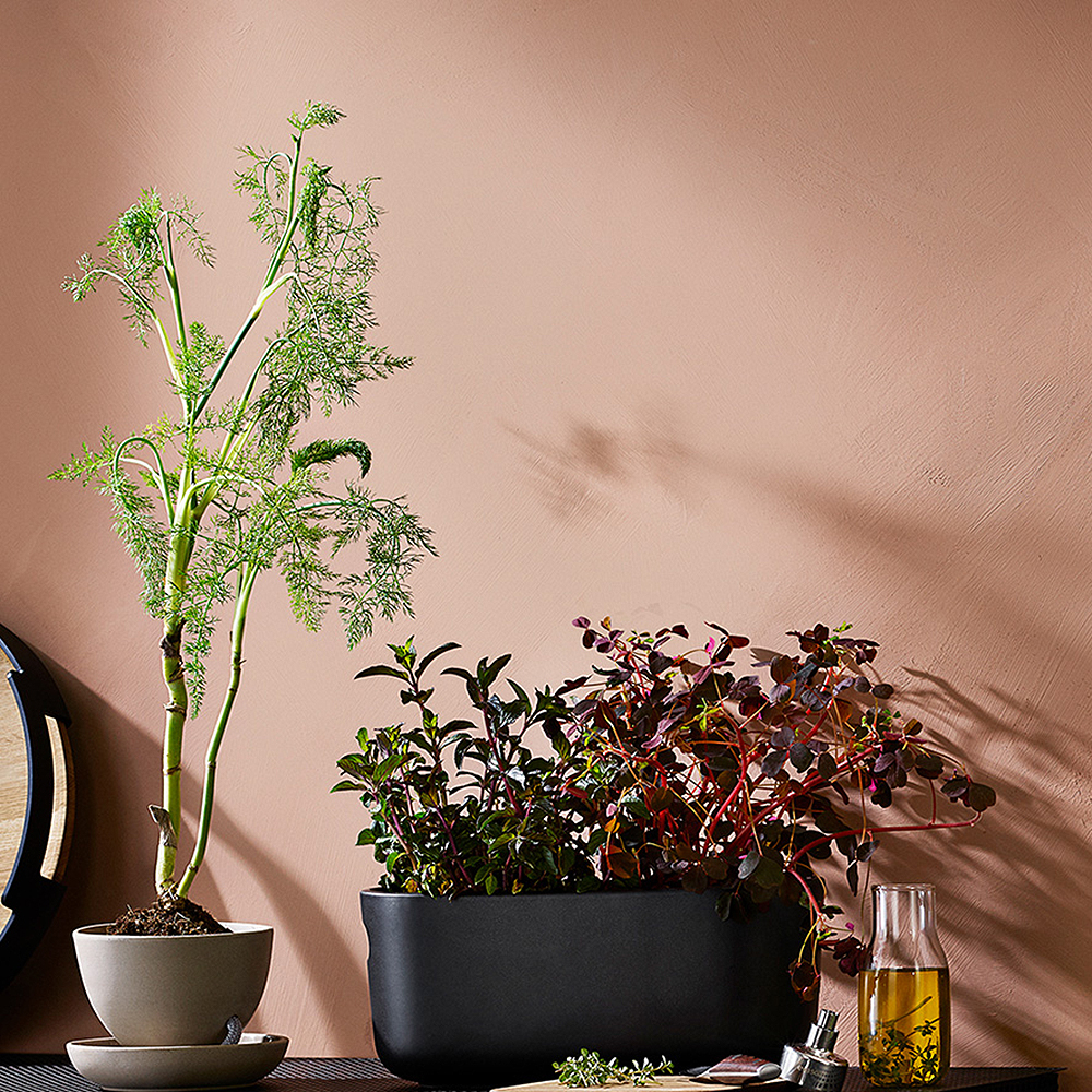 Eva Solo Selvvannende urtepotte 31x13 cm svart