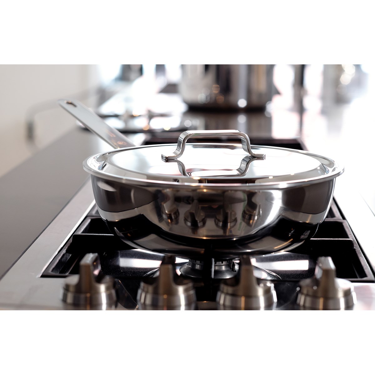 Professional Secrets Sauteuse 24 cm