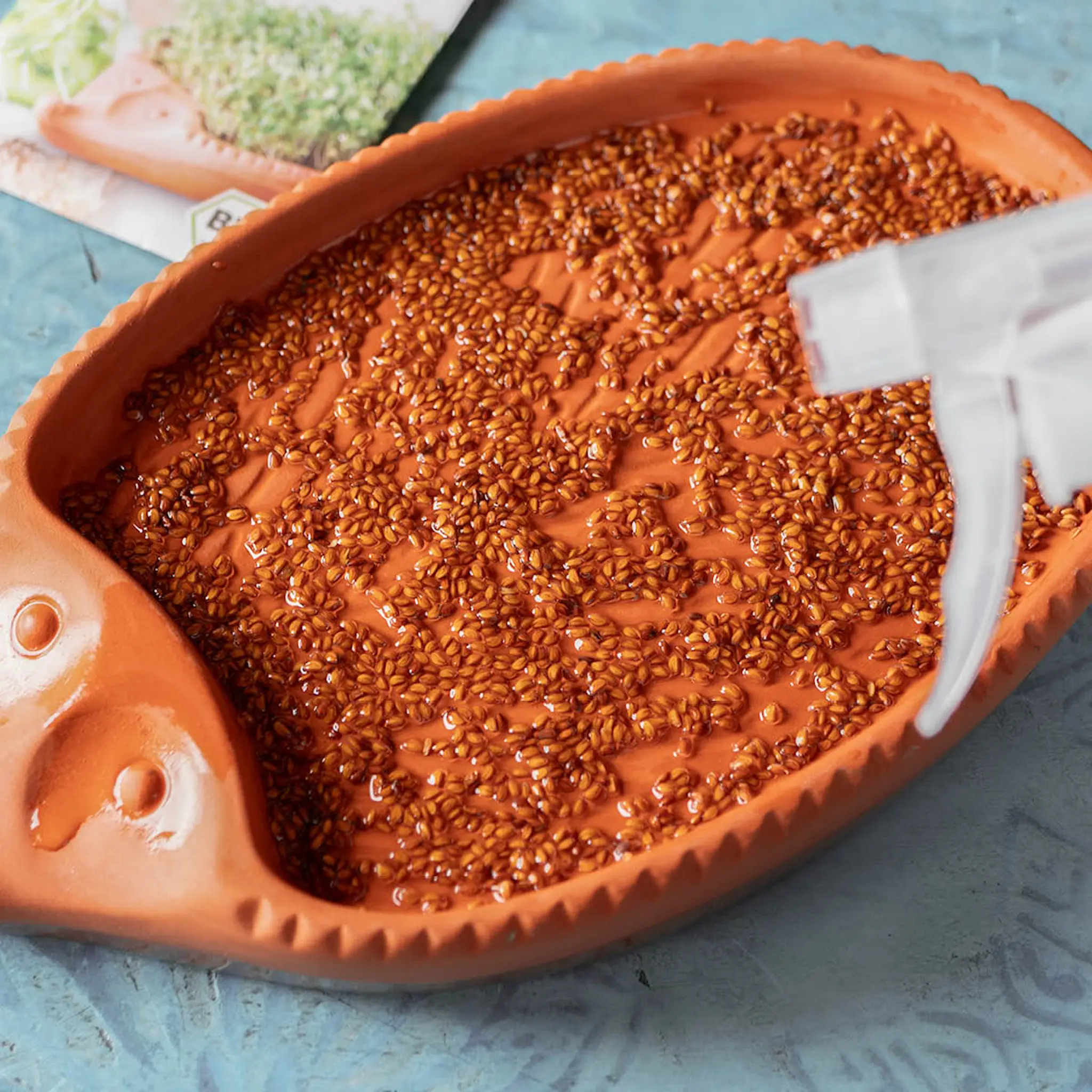 Römertopf Groddkruka i keramik 25x16 cm