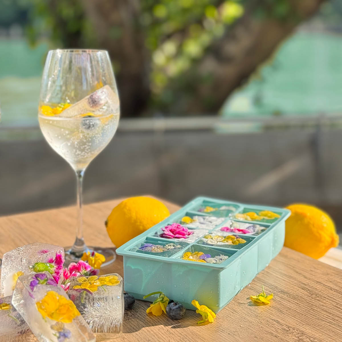 Modern House Ice isform för 8 stora isbitar blå