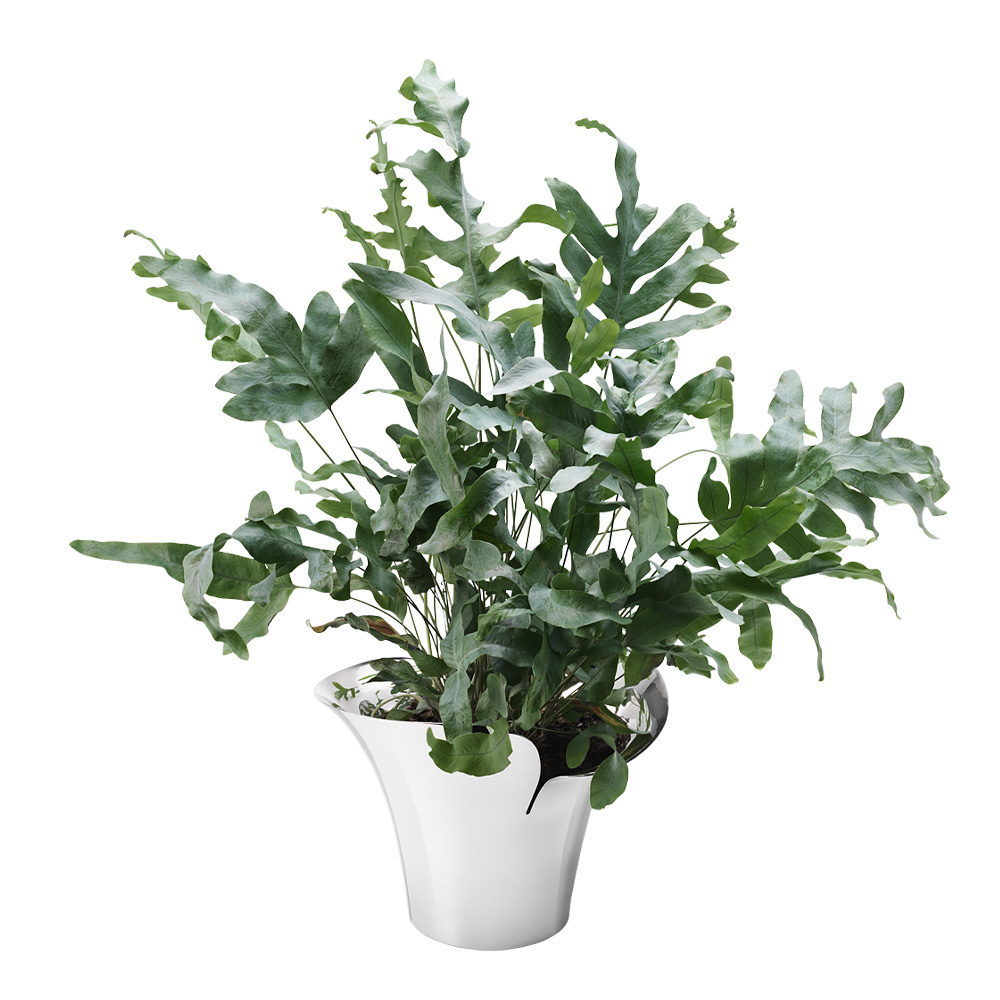 Georg Jensen Bloom Botanica Kruka Medium 19 cm Rostfri