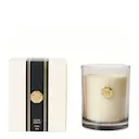 Treviso doftljus Black Forest 8,5x10,5 cm vit