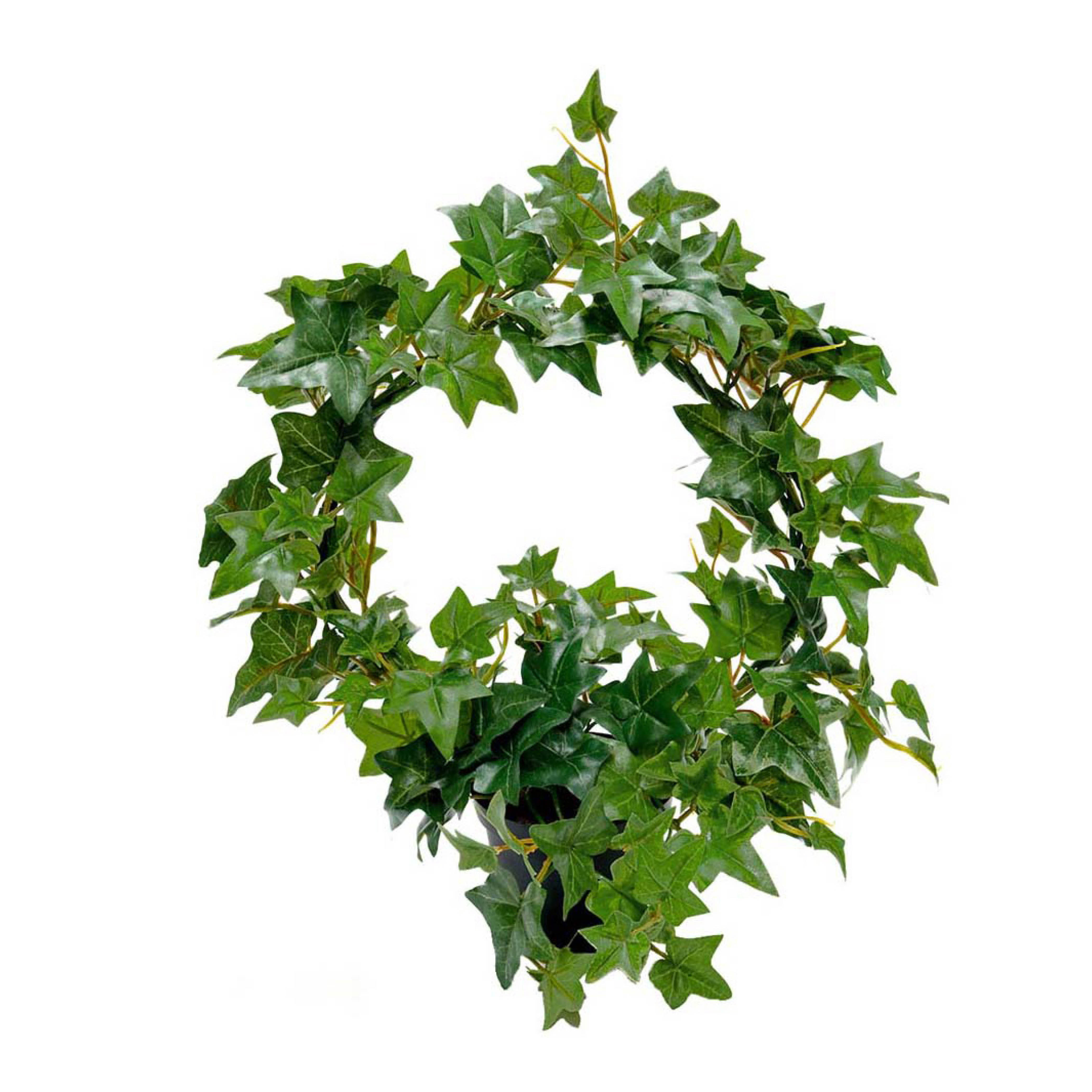 Mr Plant Eføy kunstig potteplante 35 cm grønn