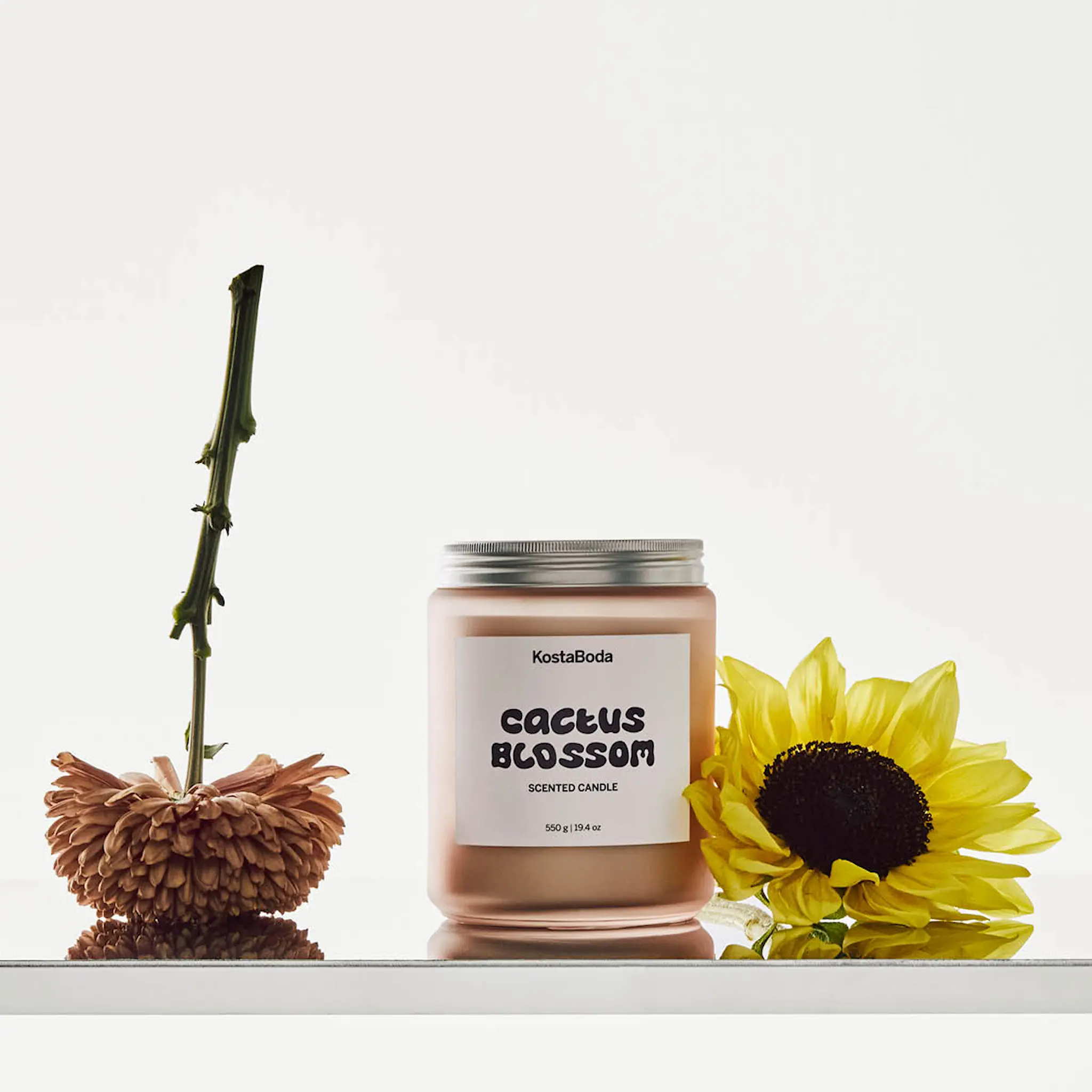 Kosta Boda Mind Tuoksukynttilä 10 cm Cactus Blossom