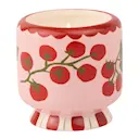 Heirloom tomato - Tomato röd