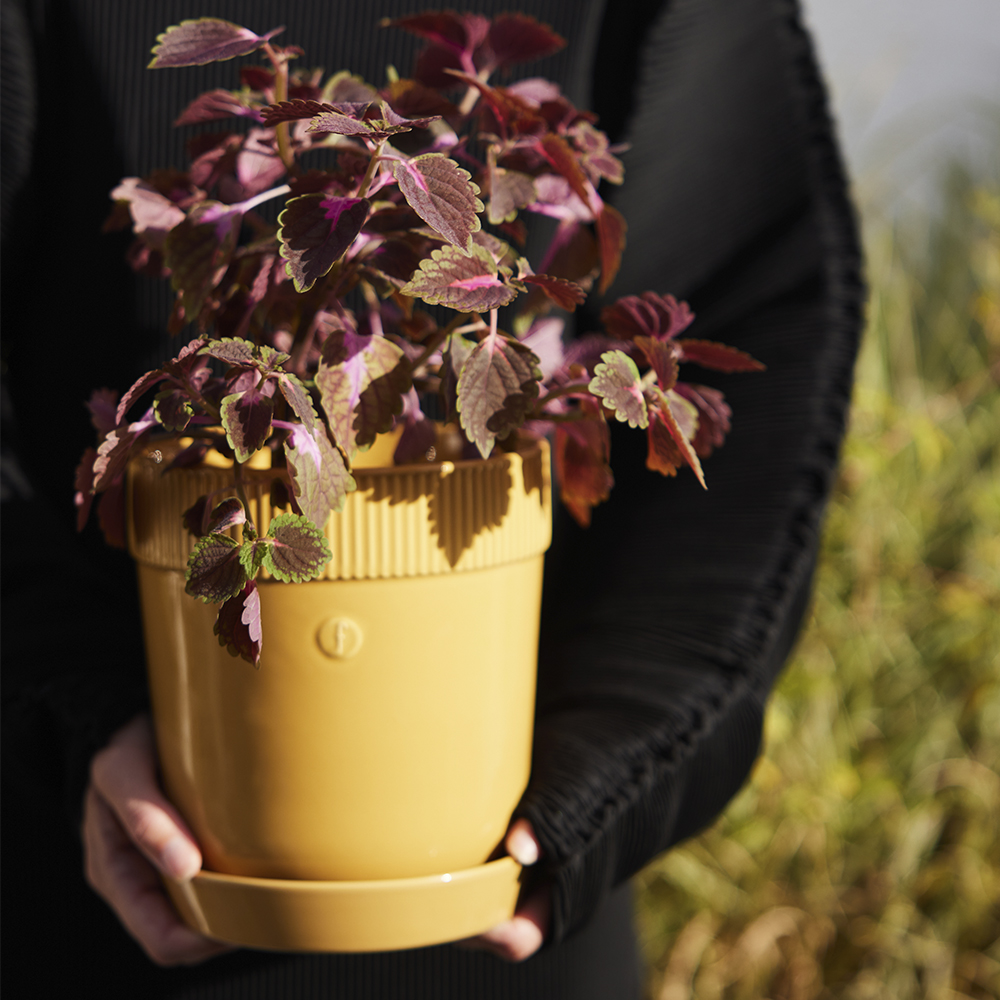 Sagaform Elise krukke 17x19 cm gul