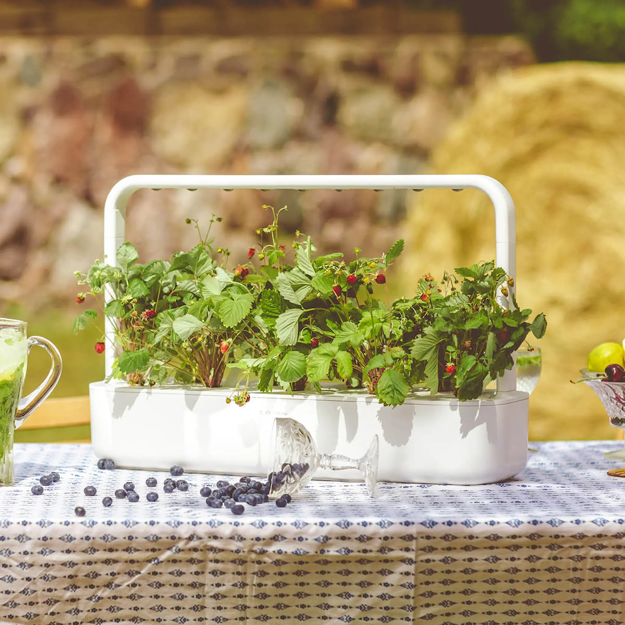 Click & Grow Smart Garden 9 startpakke hvit