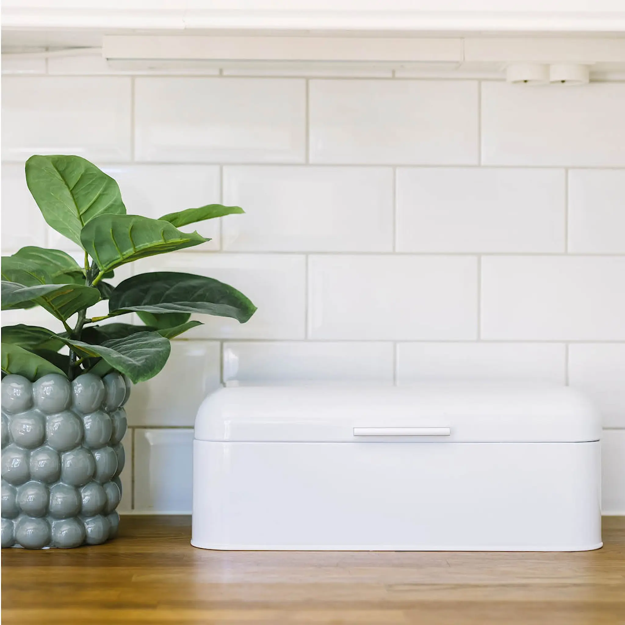 Dorre Bella Leipälaatikko 42x22,5 cm Valkoinen